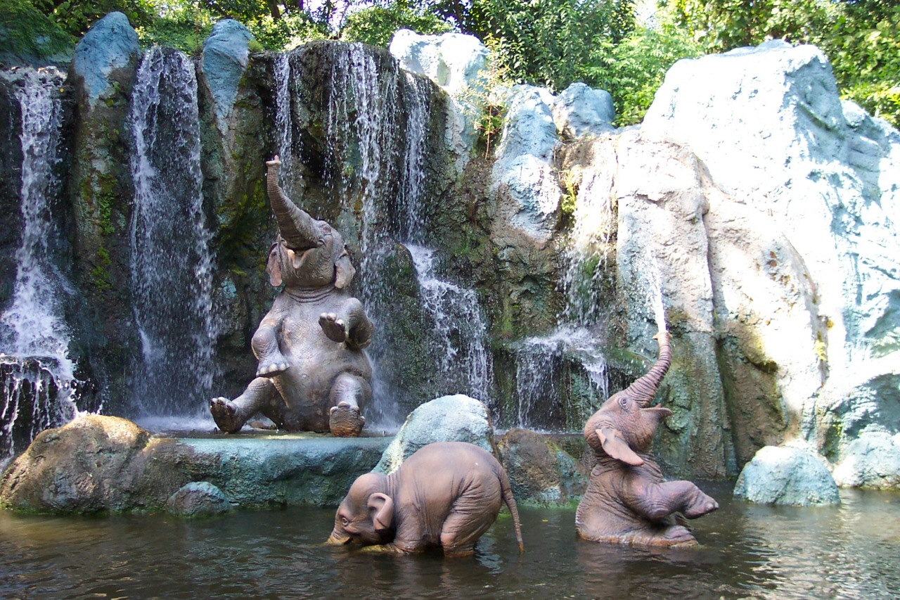 photo of elephants having fun