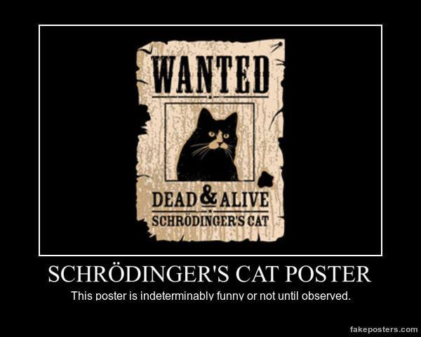 Schrodinger's cat