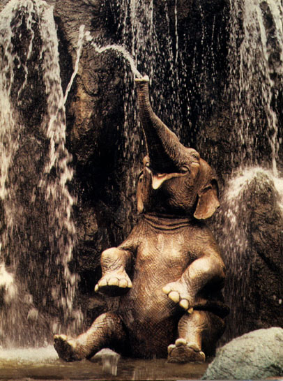 photograph of gargling elephant