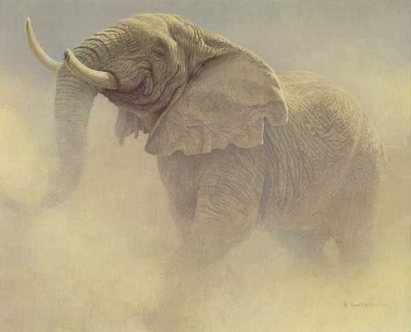picture of an elephant