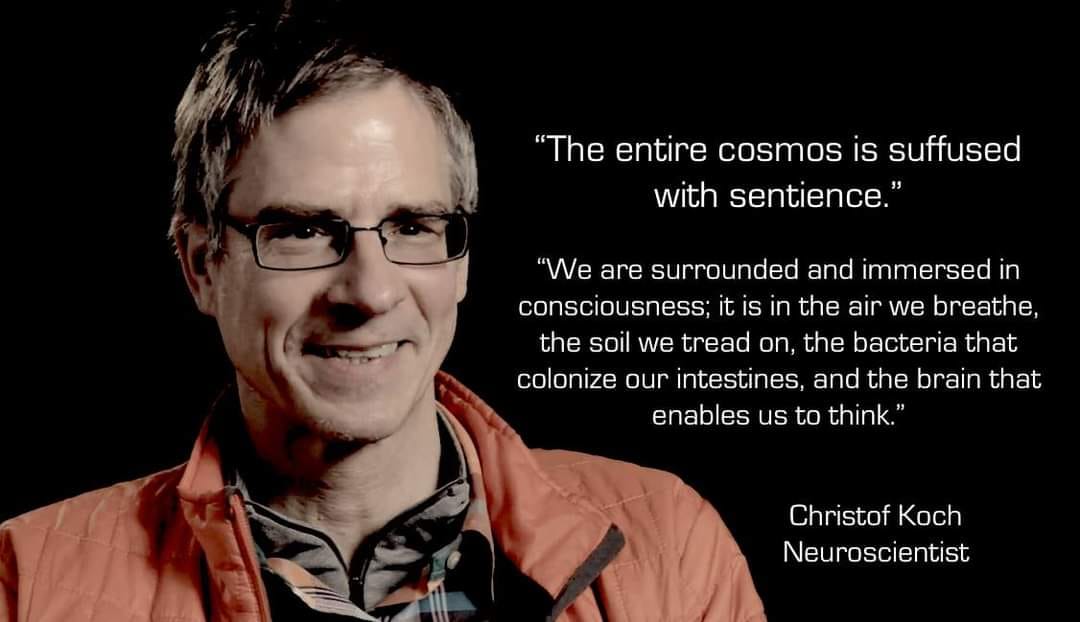 Consciousness Everywhere