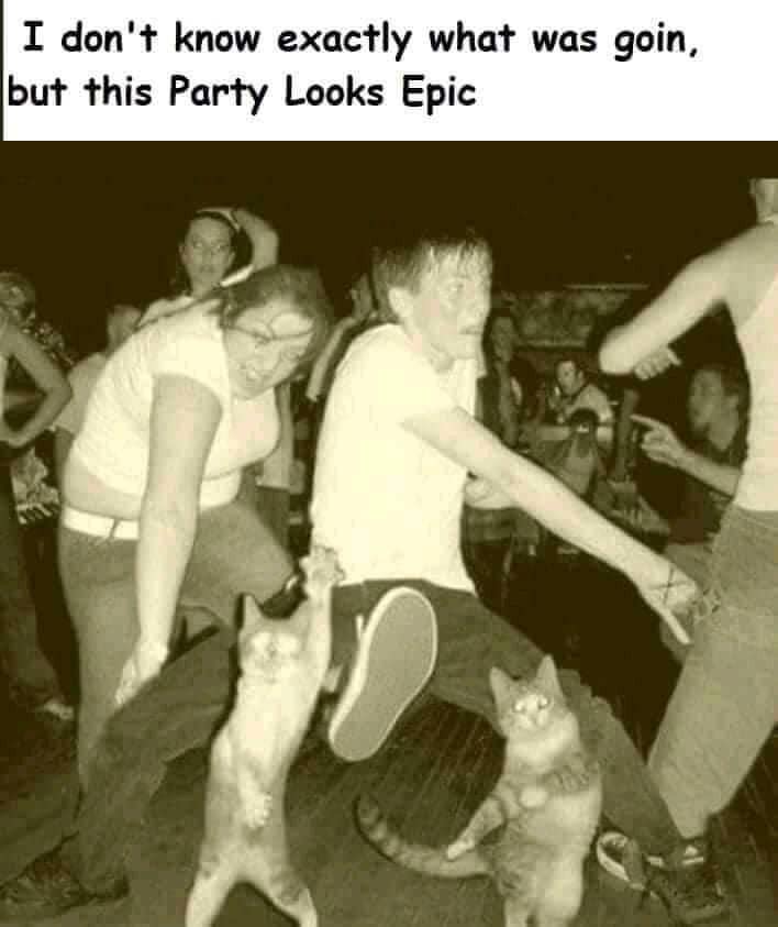 quite a party